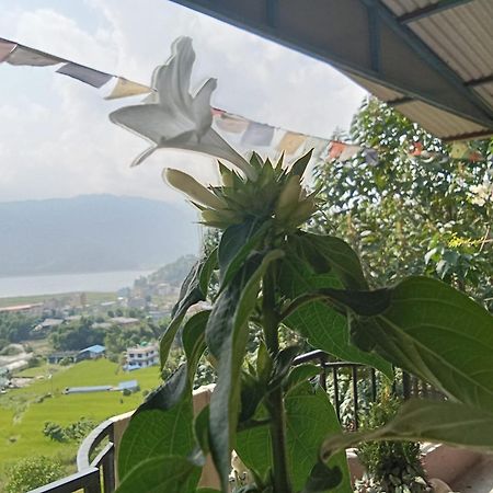 Gautam Garden Guest House Pokhara Exterior photo
