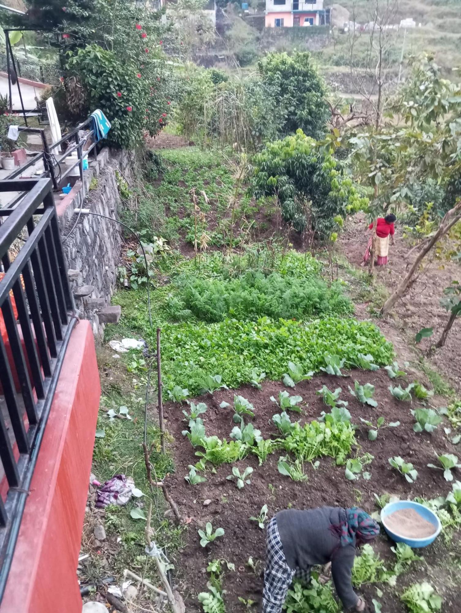 Gautam Garden Guest House Pokhara Exterior photo